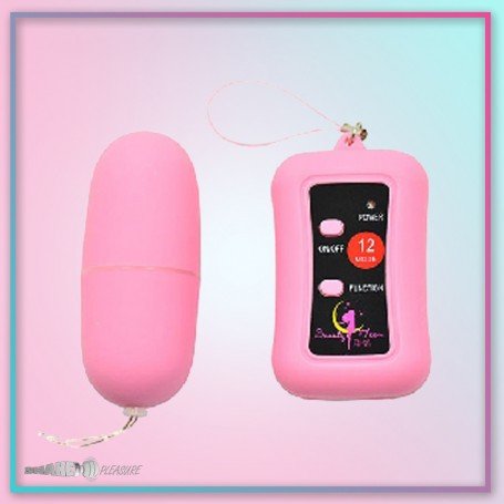 Remote Control Vibrating Egg BV-003