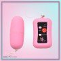 Remote Control Vibrating Egg BV-003