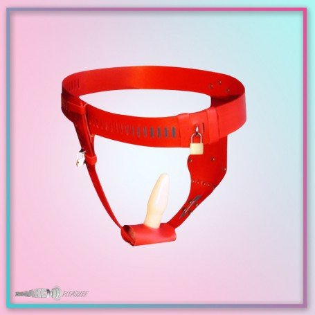 Chastity Lock Device for Women BDSM-002